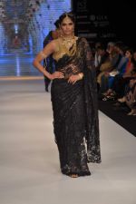 Model walks the ramp for Kays Jewel Show at IIJW Day 3 on 21st Aug 2012 (37).JPG